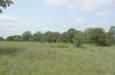 Farm Property in Hughes County, Oklahoma