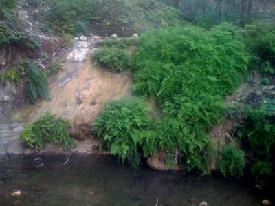 Property in Bandera County, Texas