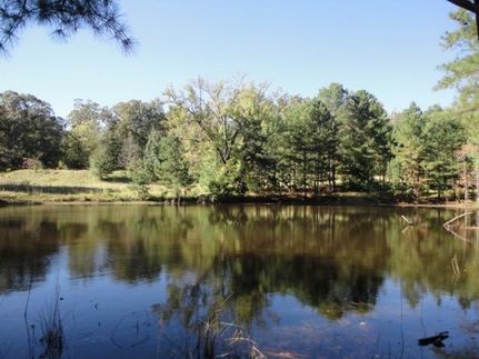 Property in Wilkes County, Georgia