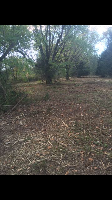 Ranch Property in Jackson County, Alabama