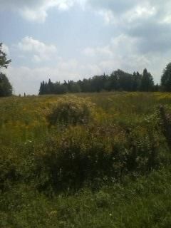 Farm Property in Lewis County, New York