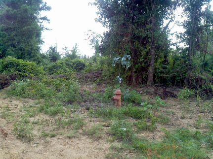 Ranch Property in Hot Spring County, Arkansas