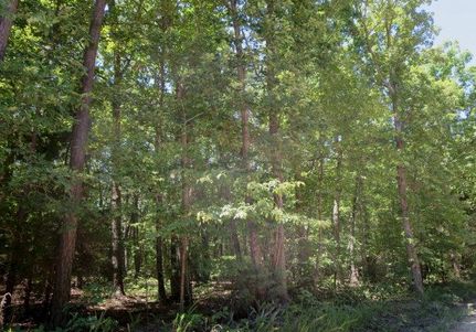 Farm Property in Buckingham County, Virginia