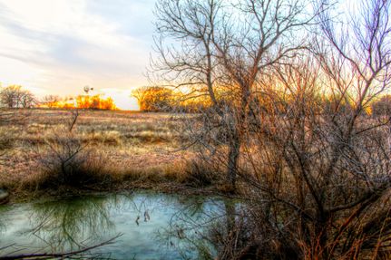 Farm Property in Clay County, Texas