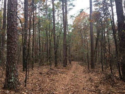 Farm Property in Clark County, Arkansas