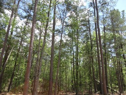 Farm Property in Cass County, Texas