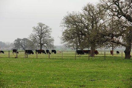 Farm Property in Fayette County, Texas