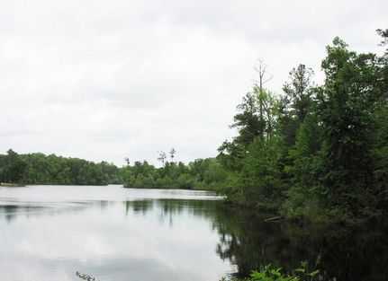 Property in Surry County, Virginia