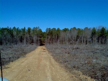 Ranch Property in Nevada County, Arkansas