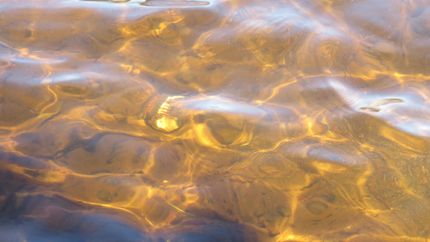 Waterfront Property in Vilas County, Wisconsin