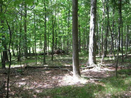 Ranch Property in Chemung County, New York