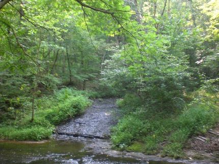 Farm Property in Williamson County, Tennessee