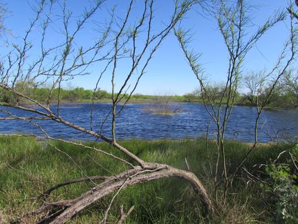 Property in Starr County, Texas