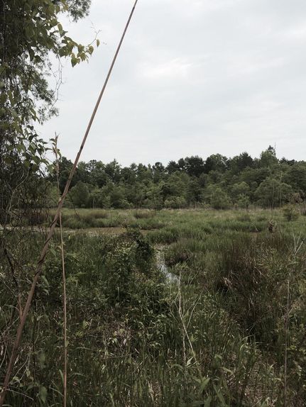 Farm Property in Clarke County, Mississippi