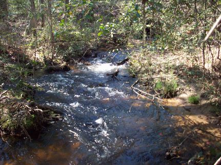 Undeveloped Land in Aiken County, South Carolina