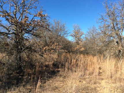 Undeveloped Land in Callahan County, Texas