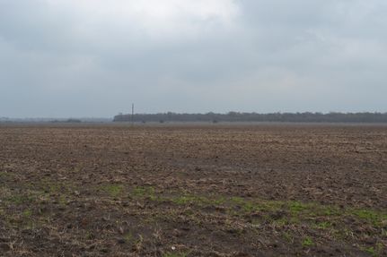 Undeveloped Land in Little River County, Arkansas