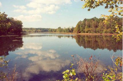 Property in Cass County, Texas