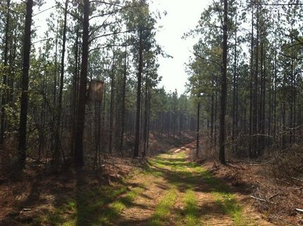Farm Property in Screven County, Georgia