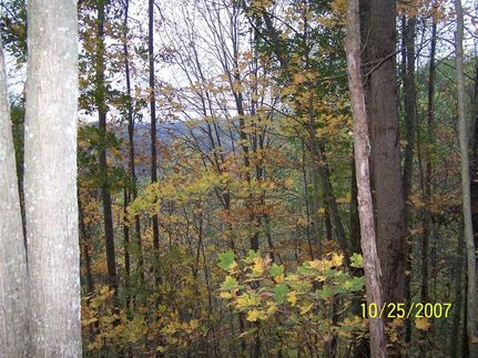 Farm Property in Clay County, Kentucky