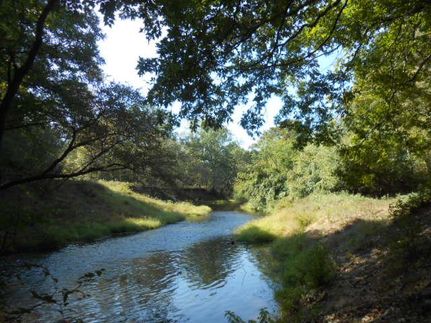 Farm Property in Marion County, Texas