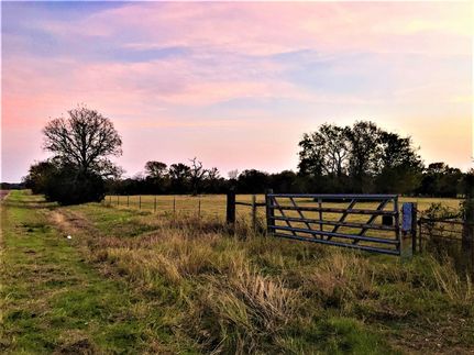 Farm Property in Burleson County, Texas