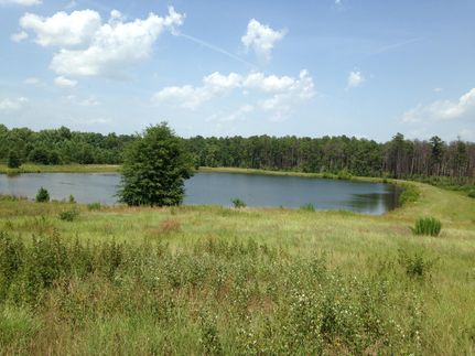 Farm Property in Lexington County, South Carolina