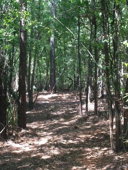 Ranch Property in Morris County, Texas