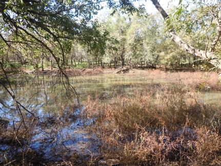 Farm Property in Stonewall County, Texas