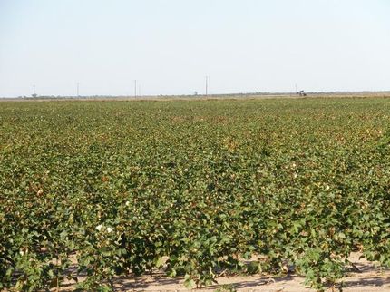 Farm Property in Haskell County, Texas