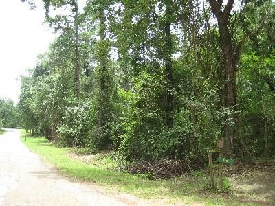 Undeveloped Land in Houston County, Texas