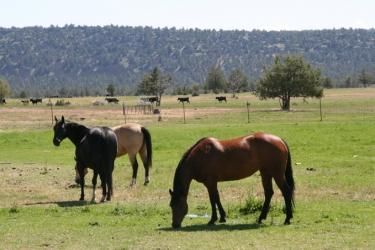 Property in Klamath County, Oregon