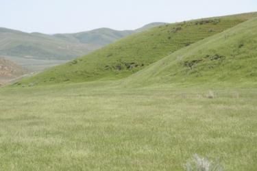 Property in Washington County, Oregon