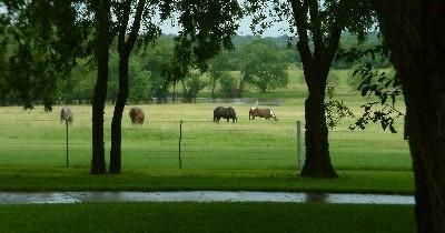Property in Bosque County, Texas