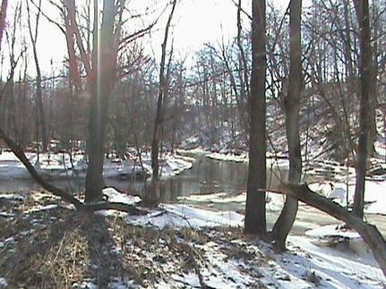 Farm Property in Lenawee County, Michigan