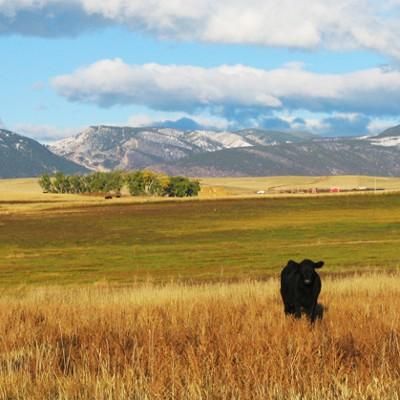 Farm Property in Johnson County, Wyoming
