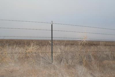 Farm Property in Castro County, Texas