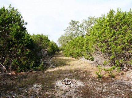 Farm Property in Burnet County, Texas