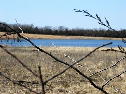 Property in Delta County, Texas
