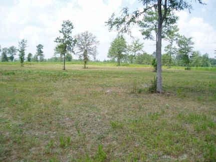 Farm Property in Trinity County, Texas