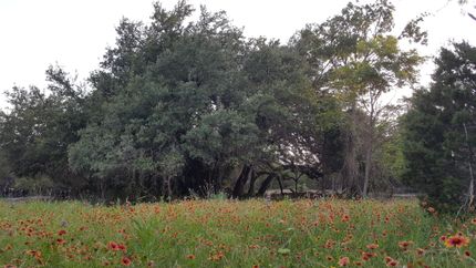 Recreational Property in Lampasas County, Texas