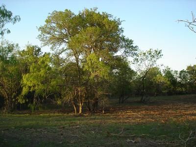 Farm Property in Caldwell County, Texas