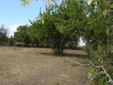 Farm Property in Bell County, Texas