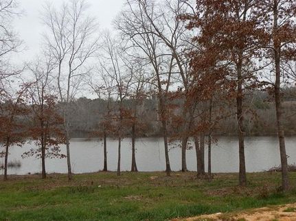 Lakefront Property in Cass County, Texas