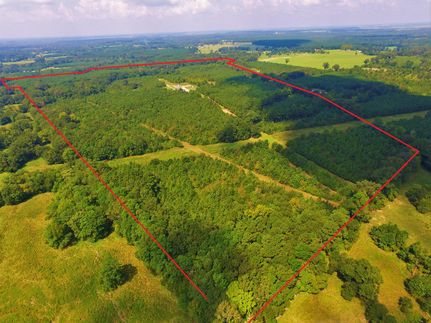 Recreational Property in Panola County, Texas