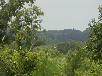 Property in Upshur County, Texas