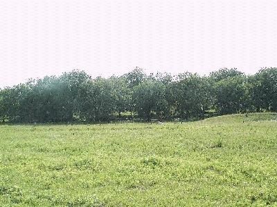 Farm Property in Austin County, Texas