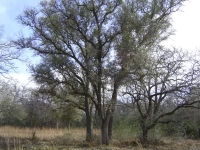Farm Property in Colorado County, Texas