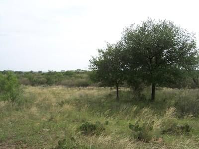 Property in Mason County, Texas