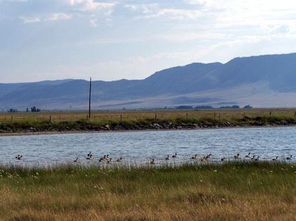 Farm Property in Albany County, Wyoming